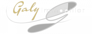 Galy Immobilier
