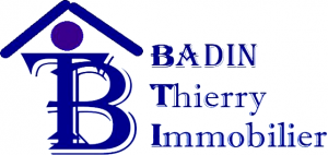 Badin Thierry Immobilier